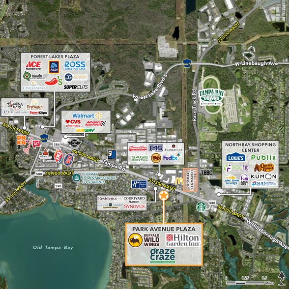 More Photos Of 4022-4058 Tampa Rd, Oldsmar Unknown For Lease