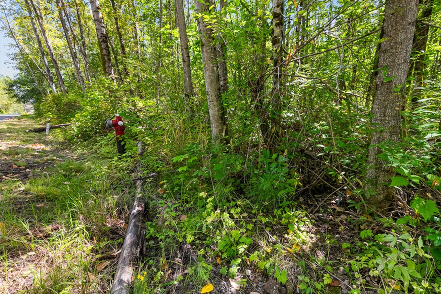 More Photos Of 115-155 Tremont Ave, Bellingham Land For Sale