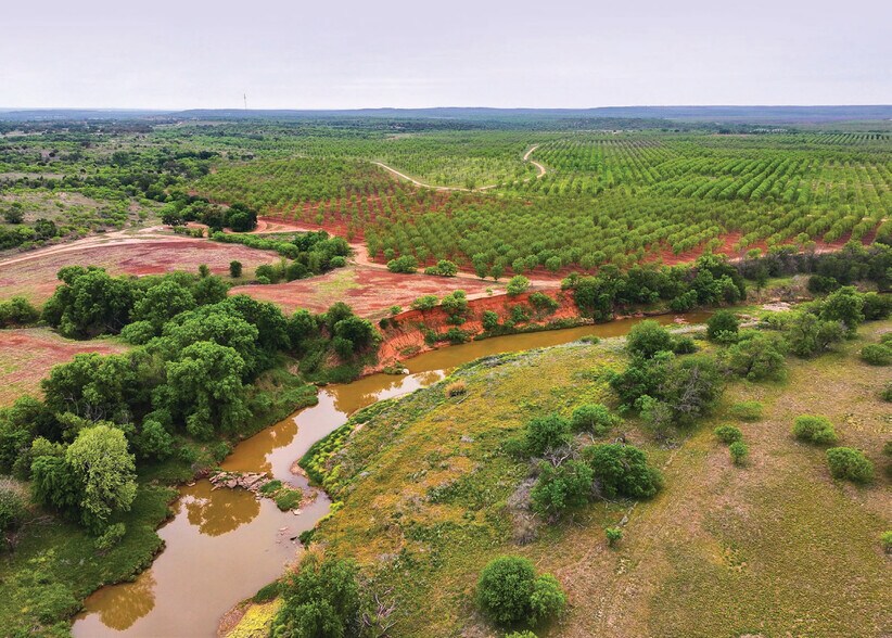 More Photos Of 450 County Road 417, Goldthwaite Land For Sale