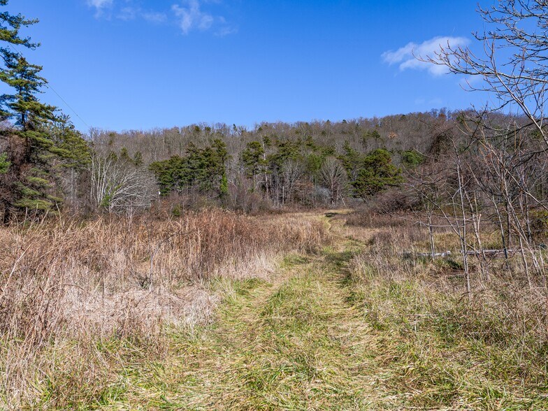 More Photos Of 300 Baird Cove Rd, Asheville Land For Sale