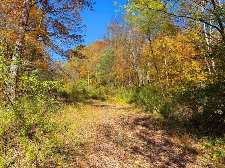 More Photos Of 0 Sewell Creek Rd, Meadow Bridge Land For Sale