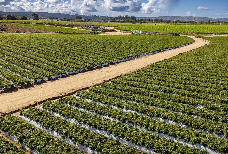 More Photos Of 1880 Clark Ave, Santa Maria Land For Sale