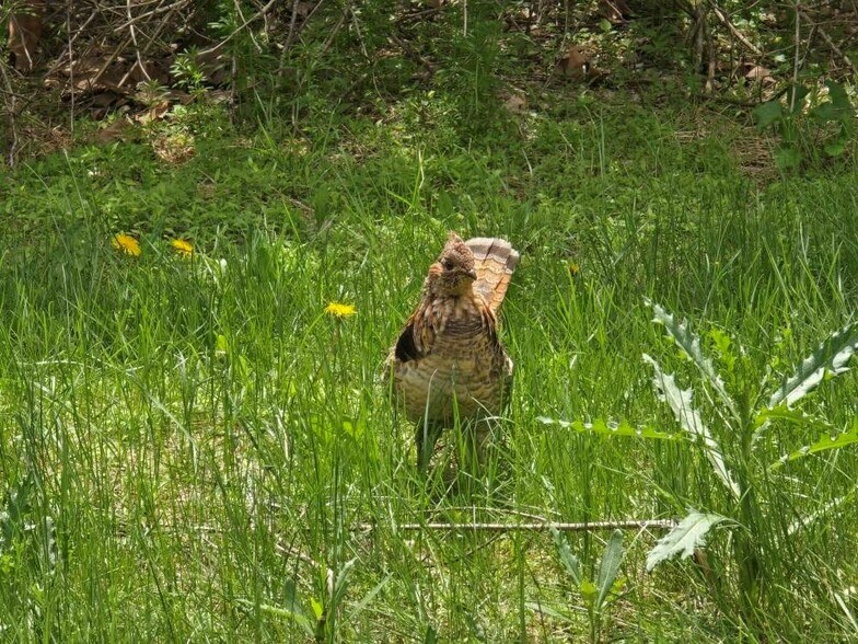 More Photos Of 0 Lower Mudlic rd, Mayport Land For Sale
