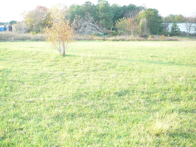 More Photos Of 3.8 Acs Pearman Dairy Rd, Anderson Land For Sale