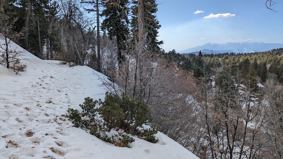 More Photos Of 0 San Antonio, Green Valley Lake Land For Sale