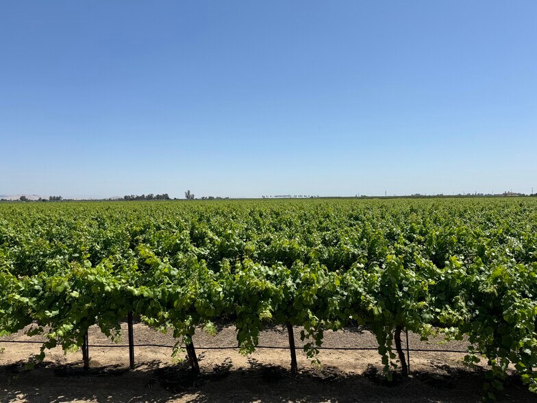 More Photos Of 25203 Road 212, Lindsay Land For Sale