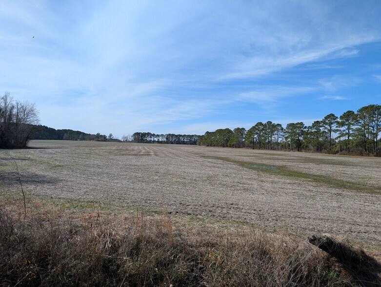 More Photos Of 522 Plum Nearly Ln, Trenton Land For Sale