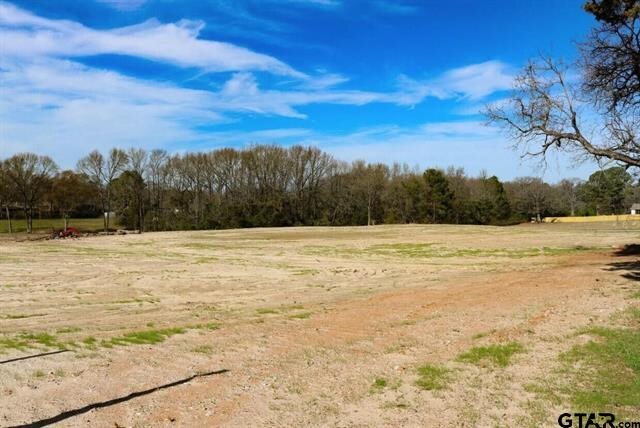 More Photos Of 0 E Hubbard St, Lindale Land For Sale