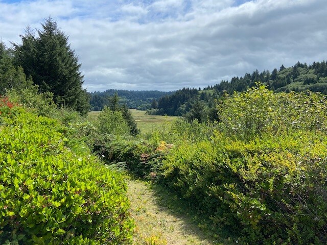 More Photos Of TL 203 Beaver Creek, Seal Rock Land For Sale