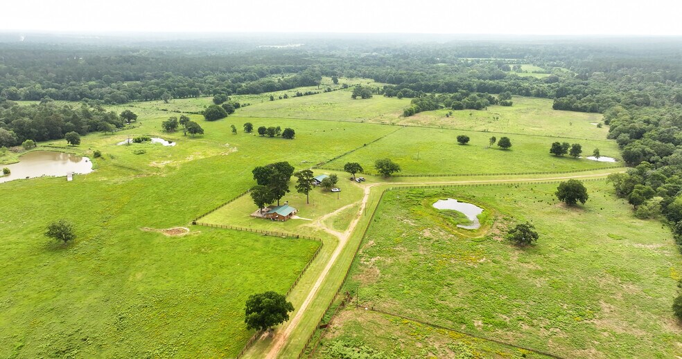 More Photos Of 44 Bucking Bull Rd, New Waverly Land For Sale
