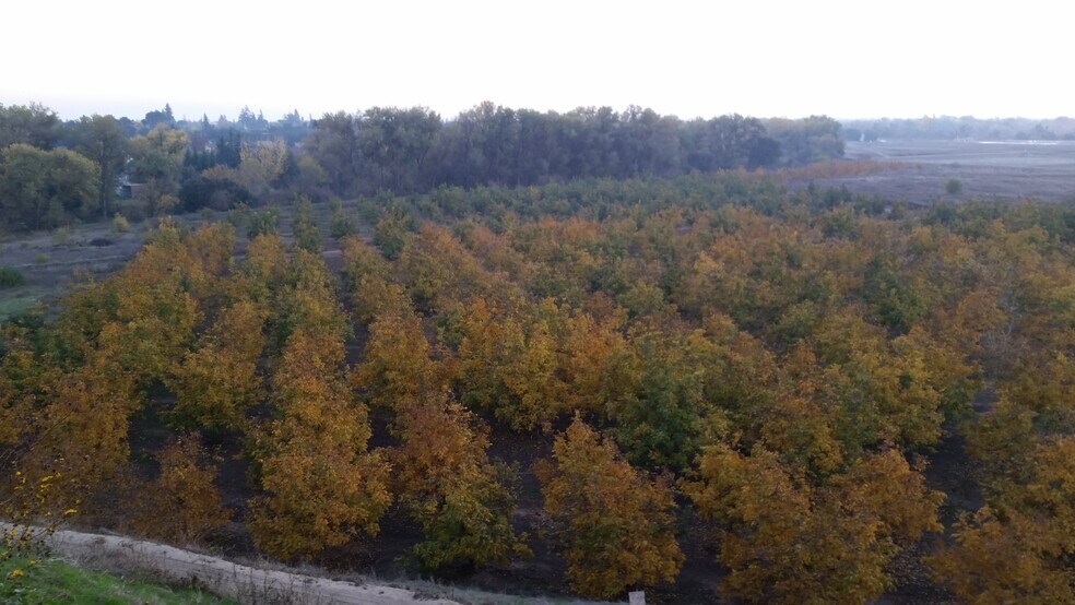 More Photos Of 0 Jackson Road Rd, Oakdale Land For Sale