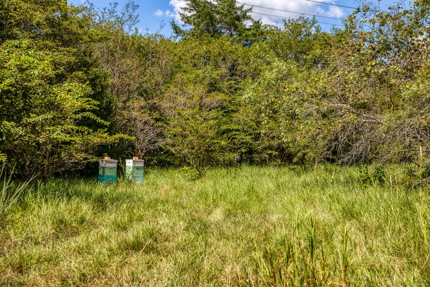 More Photos Of 3618 TX-159, La Grange Land For Sale