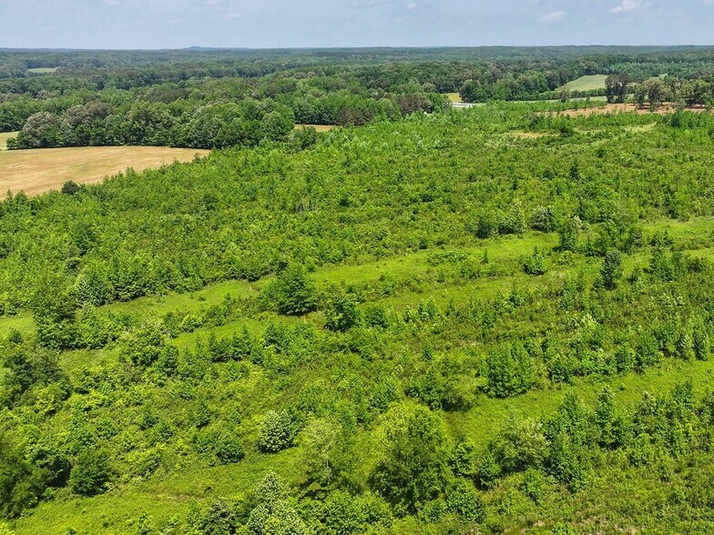 More Photos Of 0 State Route 22a, Enville Land For Sale