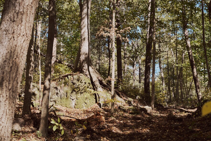 More Photos Of 1296 Flatbush Rd, Kingston Land For Sale