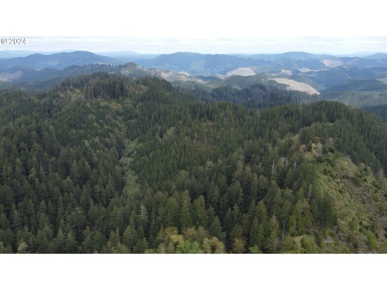 More Photos Of 18-10-00-00-01300500, Mapleton Land For Sale