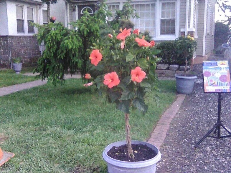 More Photos Of 2038 Grant Ave, Philadelphia Specialty For Sale