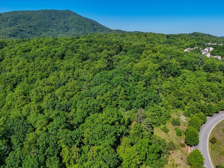 More Photos Of 0 Merriman Rd, Roanoke Land For Sale