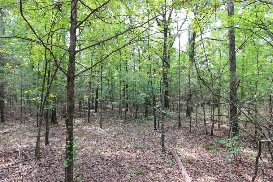 More Photos Of 226 Blythe rd, Greenbrier Land For Sale