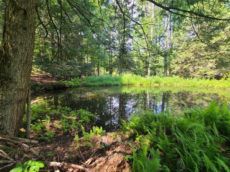 More Photos Of 41 Martin Ln, Mongaup Valley Service For Sale