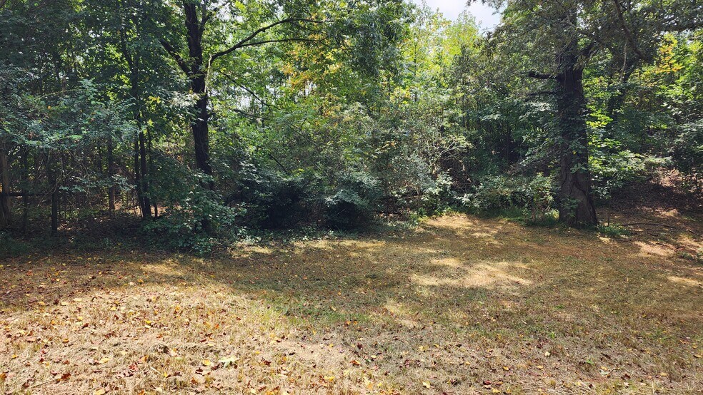 More Photos Of 1661 Friendship Rd, Hoschton Land For Sale