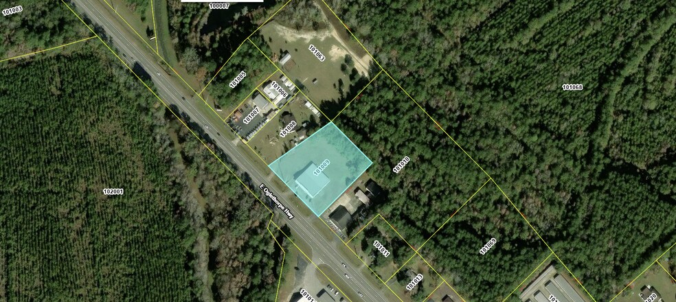 Primary Photo Of 4118 E Oglethorpe Hwy, Hinesville Storefront For Sale