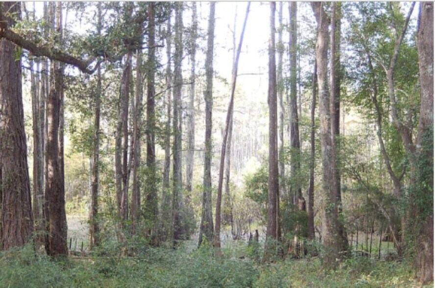 More Photos Of , Tallahassee Multifamily For Sale