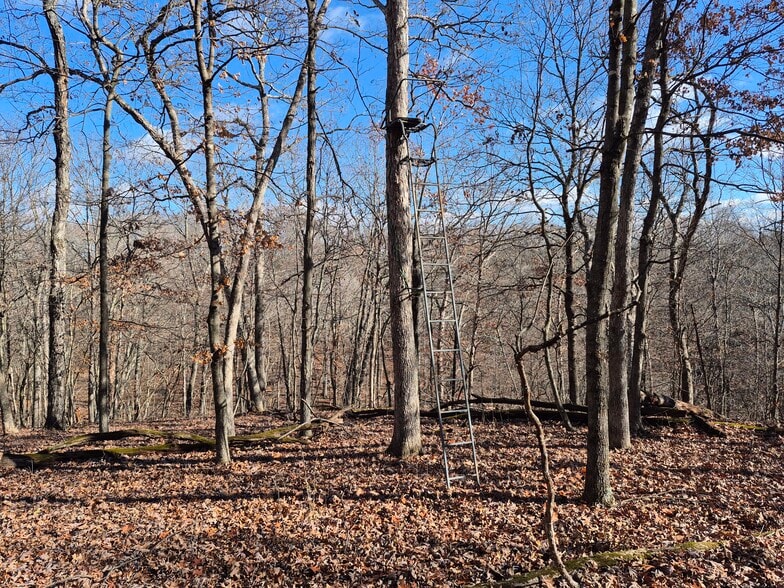 More Photos Of Logan School Rd. (30.2+/- Acres), New Florence Land For Sale