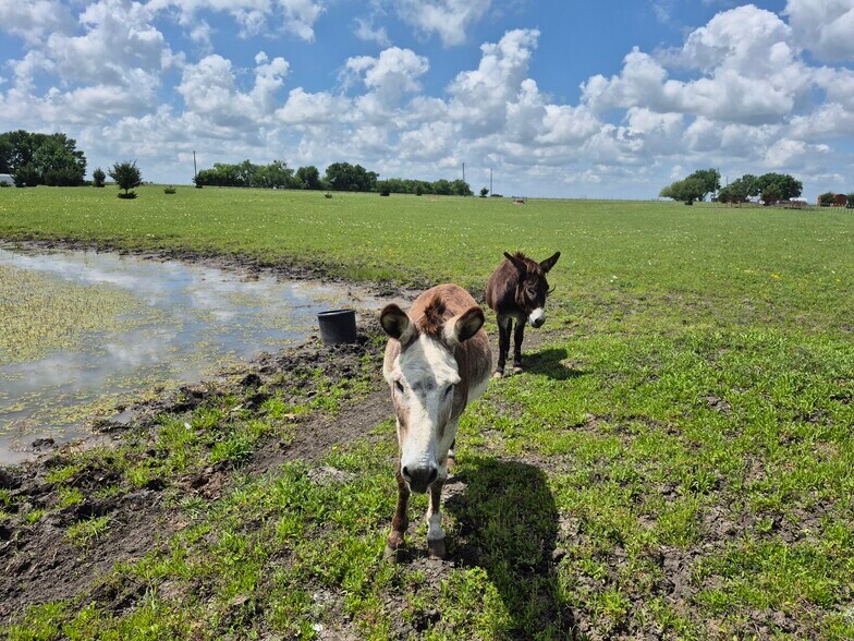 More Photos Of 9561 N TX-50 Hwy, Ladonia Land For Sale