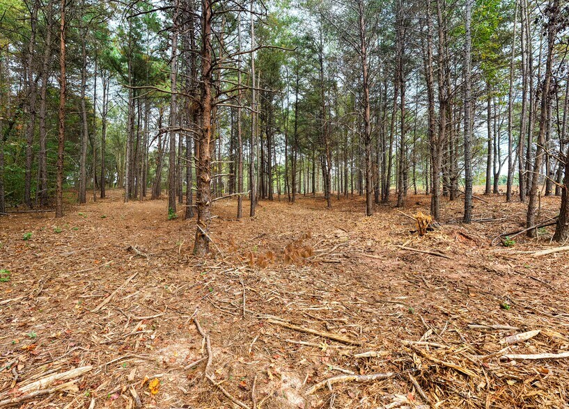 More Photos Of Tract 4 Highway 178, Anderson Land For Sale