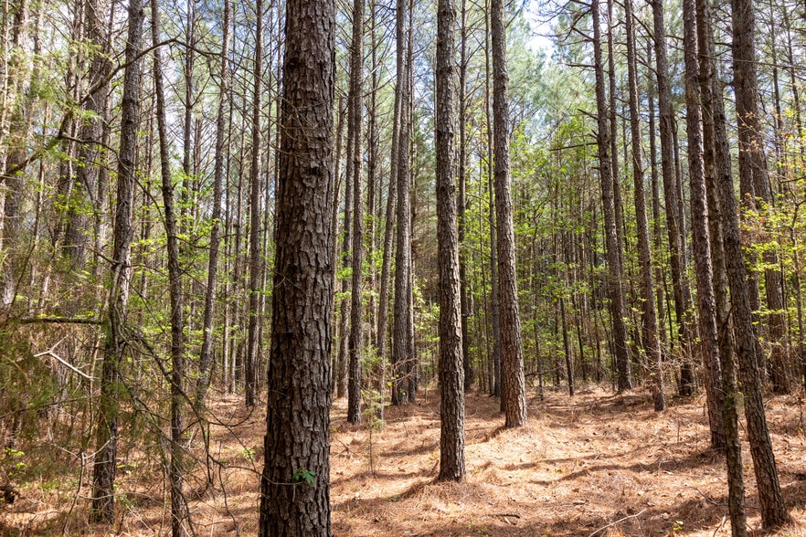 More Photos Of HWY 7, Mount Holly Land For Sale