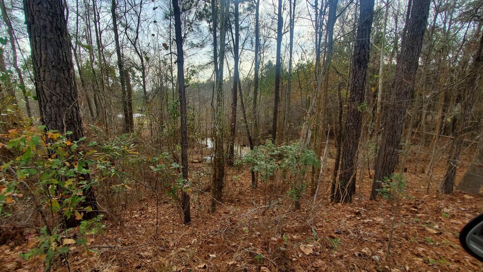 More Photos Of South Nowell Road, Macon-Bibb Land For Sale