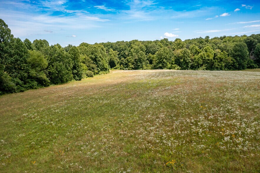 More Photos Of 11697 Spotswood Trl, Stanardsville Land For Sale