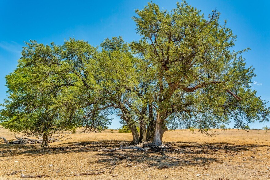 More Photos Of 7700 Old Granbury Rd, Cresson Land For Sale