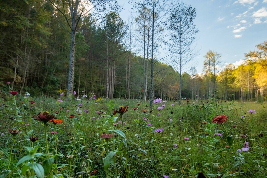 More Photos Of 2108 River Hill Road, Murphy Land For Sale