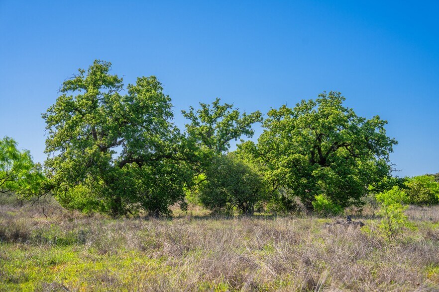 More Photos Of 5230 County Road 409, Llano Land For Sale