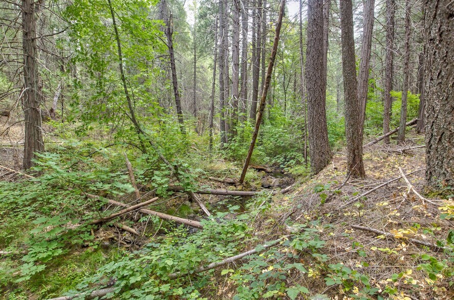 More Photos Of Mountain Dew Lane, Somerset Land For Sale