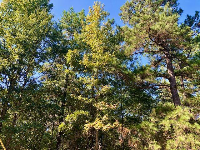 More Photos Of 3221 Gordon Hwy, Grovetown Land For Sale