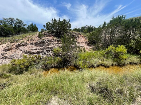 More Photos Of 221 W Rolling Oaks Dr, Goldthwaite Land For Sale