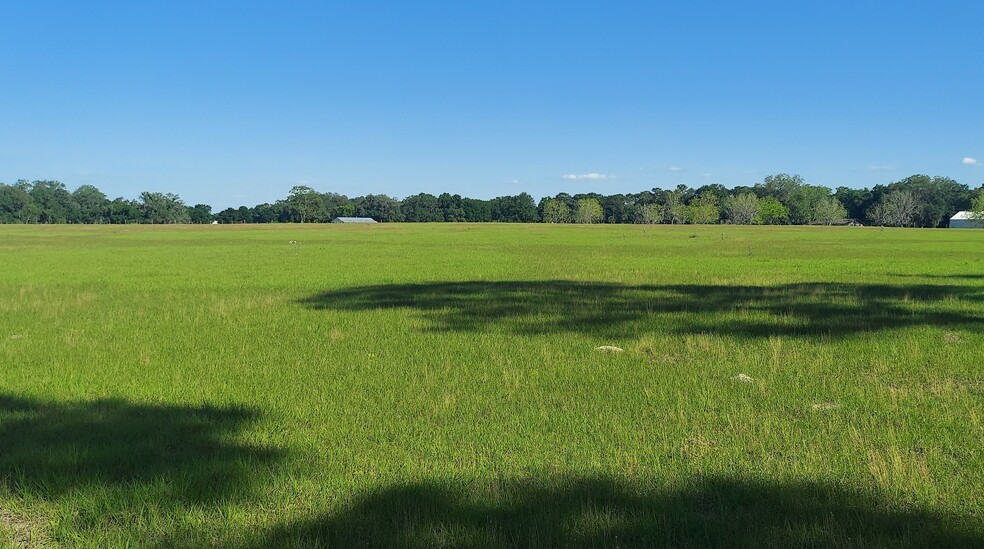 Primary Photo Of TBD Hwy 475, Oxford Land For Sale