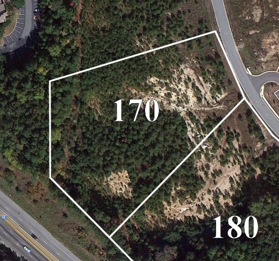 Primary Photo Of 170 N Park Trl, Stockbridge Land For Sale