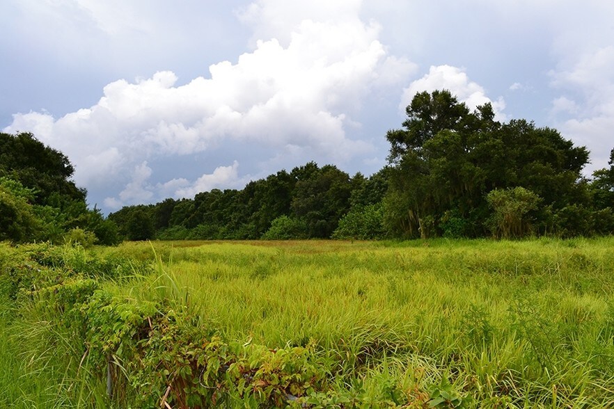 More Photos Of 0 Highway 92 E, Auburndale Land For Sale