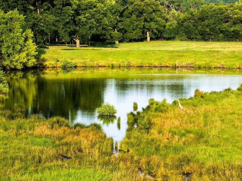 More Photos Of 0 County Road 328, Era Land For Sale