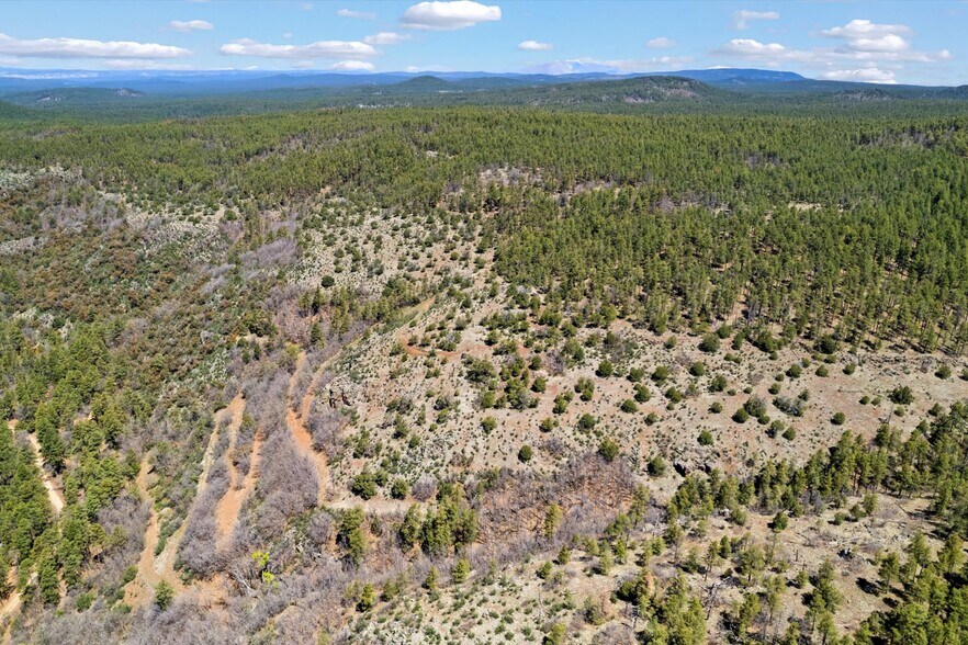 More Photos Of 00 Ponderosa Dr, Flagstaff Land For Sale