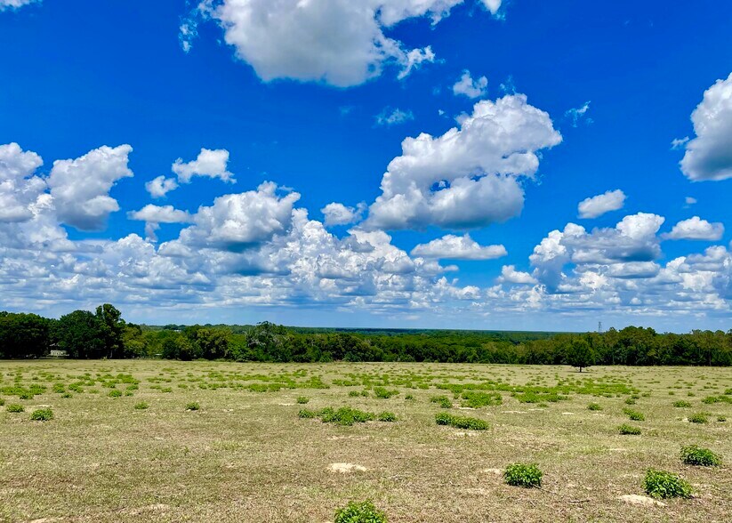 More Photos Of 0 Parrish Grove Rd, Dade City Land For Sale