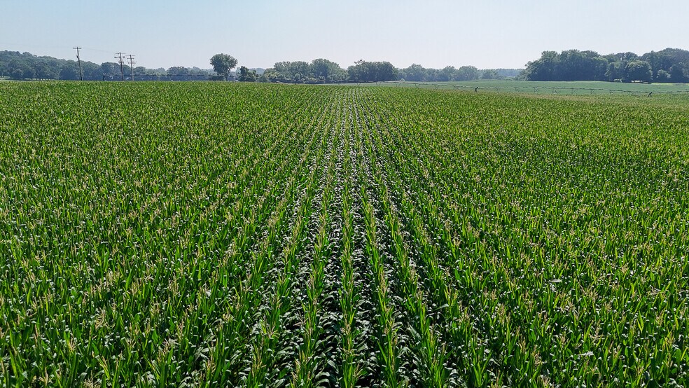 More Photos Of 10988 Point Douglas S dr, Hastings Land For Sale