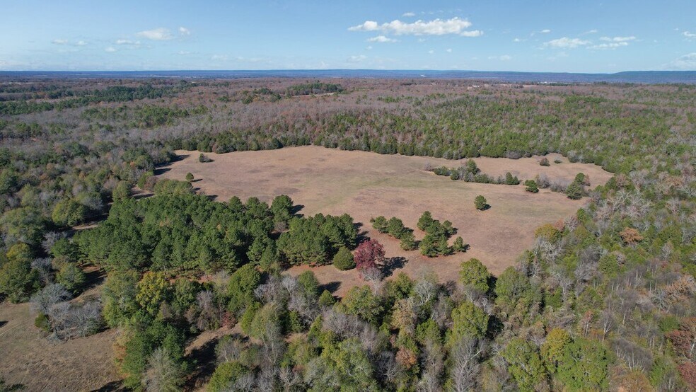 More Photos Of 190202 N 4130 Rd, Antlers Land For Sale
