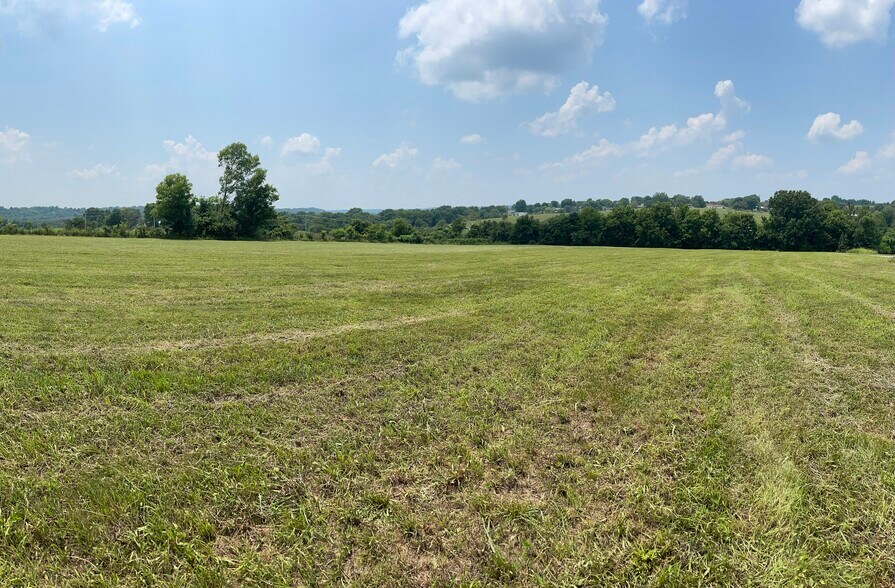 More Photos Of 801 Fremont Road, Ozark Land For Sale