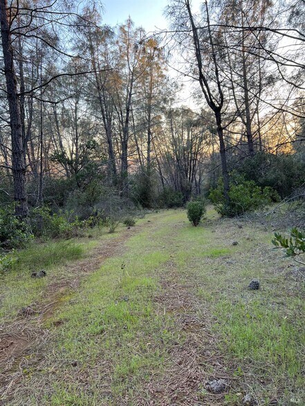 More Photos Of 7590 CA-29 Hwy, Kelseyville Land For Sale