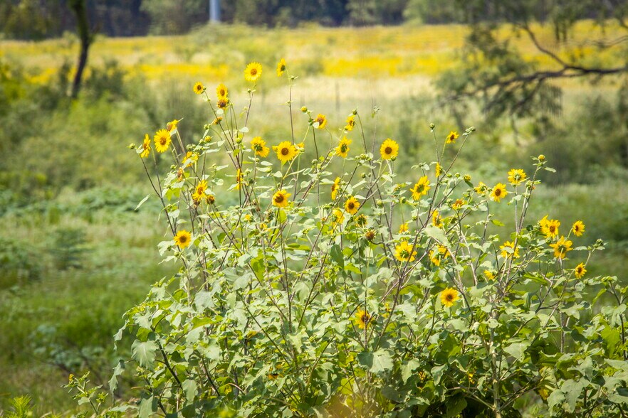 More Photos Of 181 Pine Meadow Rd, Seguin Land For Sale
