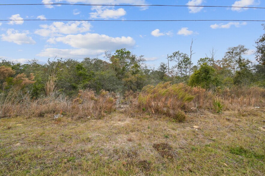 More Photos Of 0 Sunshine Grove Rd, Brooksville Land For Sale